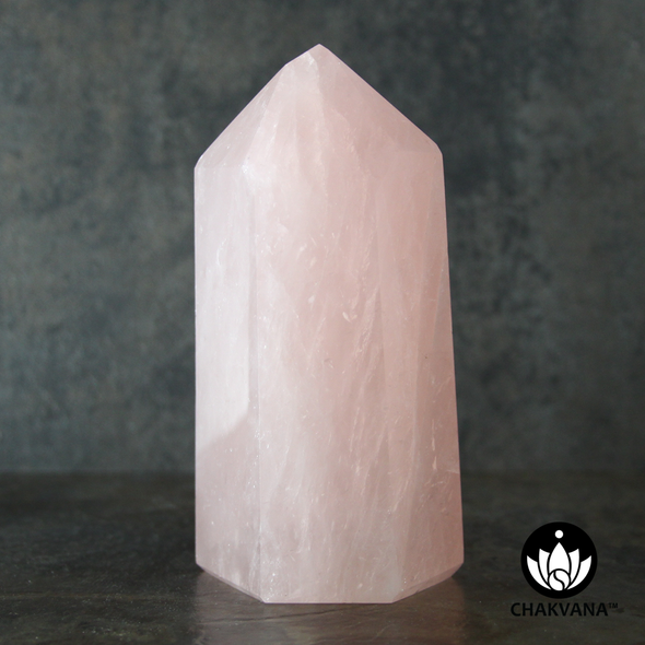 Rose Quartz Crystal Point (High Quality from Madagascar) - 710 grams