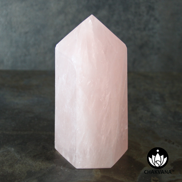 Rose Quartz Crystal Point (High Quality from Madagascar) - 710 grams